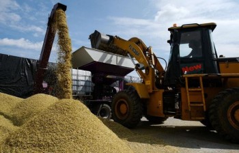 Россия за 11 месяцев увеличила экспорт в Китай продукции АПК почти на четверть
