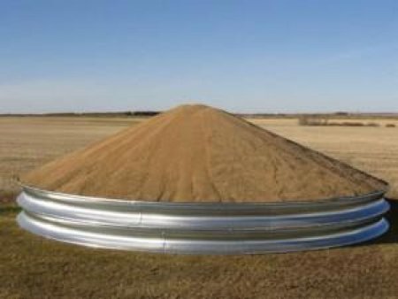 Украина: Около 250 тыс. тонн зерна исчезло из Госзерерва