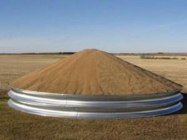 Украина: Около 250 тыс. тонн зерна исчезло из Госзерерва