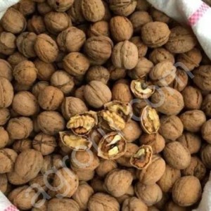 Орехи грецкие в скорлупе