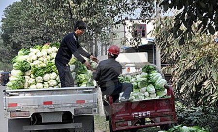 С овощебазы на Софийской улице похищен груз фруктов