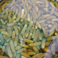 Маринованные корнишоны в бочках