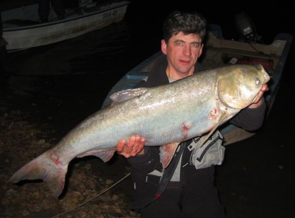 В Таджикистане лучше всех ловится толстолобик