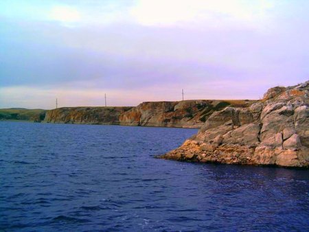 Экосистема Ириклинского водохранилища под угрозой