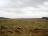 25% «научных» земель в Брянской области заброшены