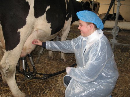 Производство молока в Западной Европе