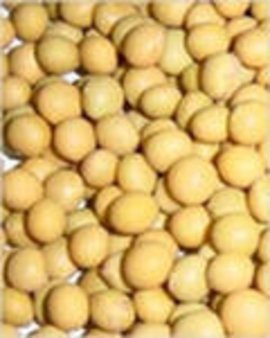 Мировое производство сои в 2011/12 сезоне вырастет