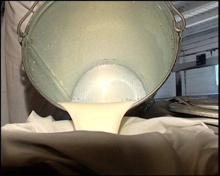 В Татарстане за сутки от одной коровы получено по 14,3 килограмм молока