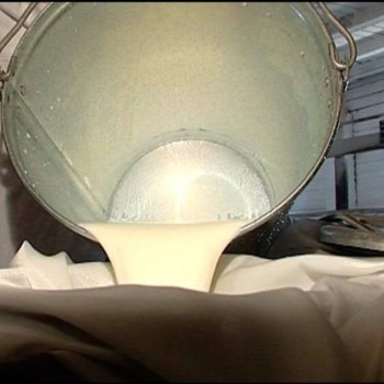В Татарстане за сутки от одной коровы получено по 14,3 килограмм молока