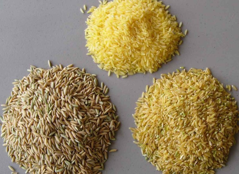 Украина: производители риса считают, что цены на продукцию будут расти и в Харьковской области 60% посевов озимых в хорошем состоянии