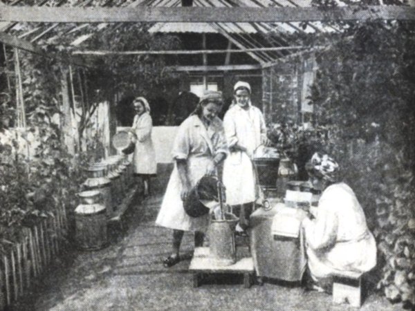 424 доярки и дояра получат премию губернатора Алтайского края