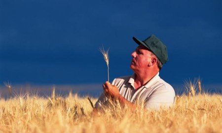 Отменить и не снижать