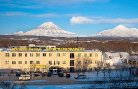 Камчатский молокозавод признан одним из лучших в России