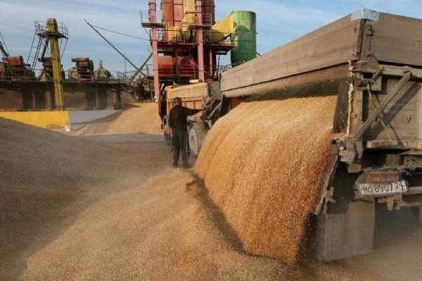 Дворкович: Россия в 2017 году сохранит лидерство по экспорту зерна