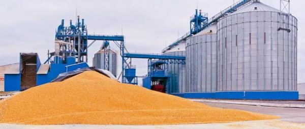 Франция активно закупает европейскую пшеницу