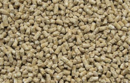 Азиатский спрос на мясо развивает инновации в кормах