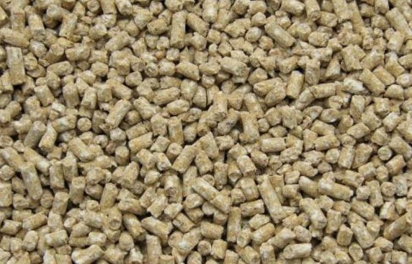 Азиатский спрос на мясо развивает инновации в кормах