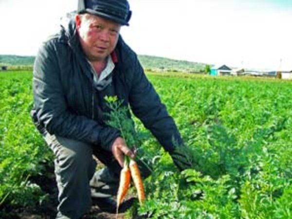 Рыночные короли и капуста