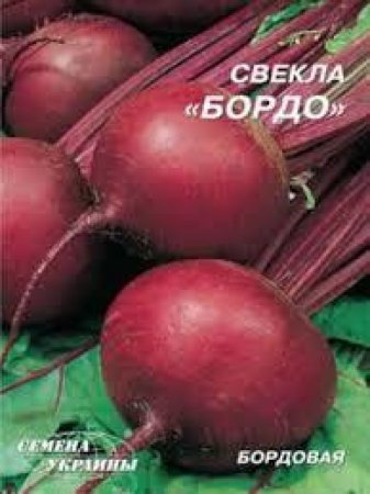 Свекла от производителя