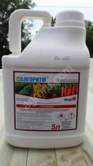 Алгоритм
