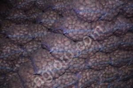 Картофель оптом .Большие обьемы.Самовывоз.