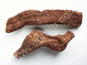 Цистанхе