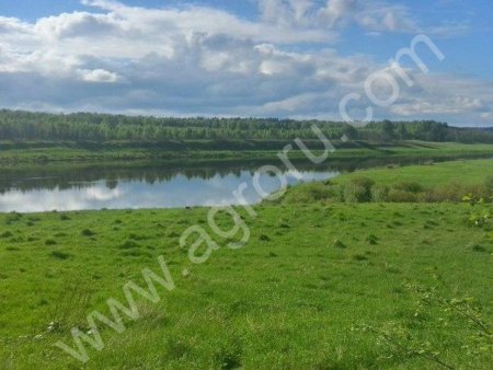 земельный участок 11га сельхоз назначения