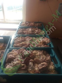 желудки Свинины разрез СУМОЧКА