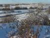 Садовый учсток, домик. в Иванове
