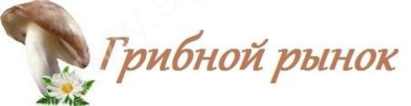 Мицелий грибной. Литература в помощь грибоводам