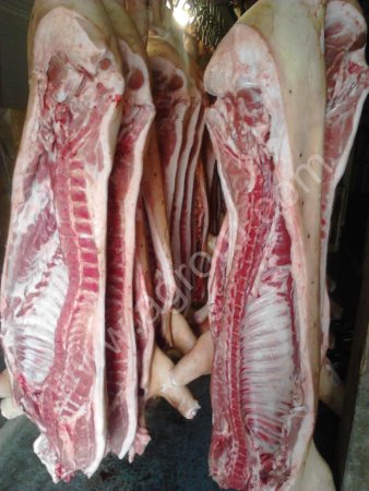 Мясо свинина обрезь корпусная