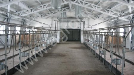 Оборудование для содержания КРС