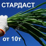 Лук на зелень Стардаст