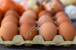 Яйцо куриное