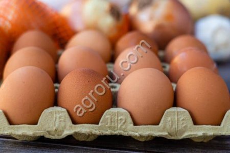 Яйцо куриное