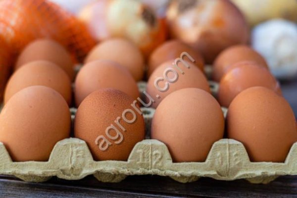 Яйцо куриное