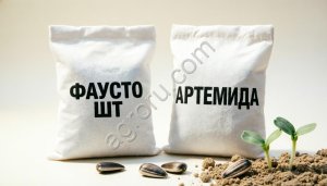 Семена подсолнечника ФАУСТО ШТ, АРТЕМИДА (с биостимулятором)