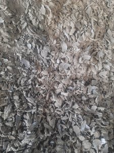 ЖМЫХ ПОДСОЛНЕЧНЫЙ