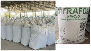 УДОБРЕНИЯ NPK ПРЯМО ОТ ПРОИЗВОДИТЕЛЯ (Узбекистан)