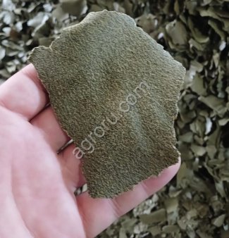 Жмых Рапсовый