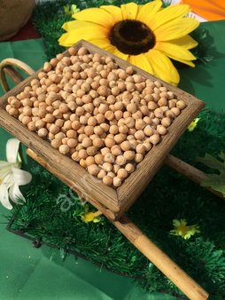 нут калибр 6+