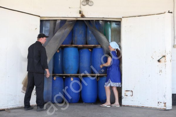 Соленья оптом. Капуста,огурцы,помидоры