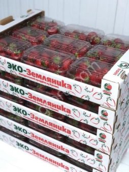 Клубника от производителя!