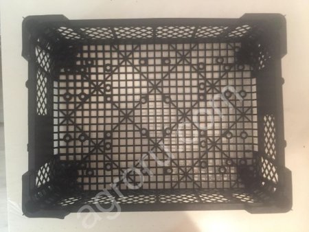 грибной ящик новый