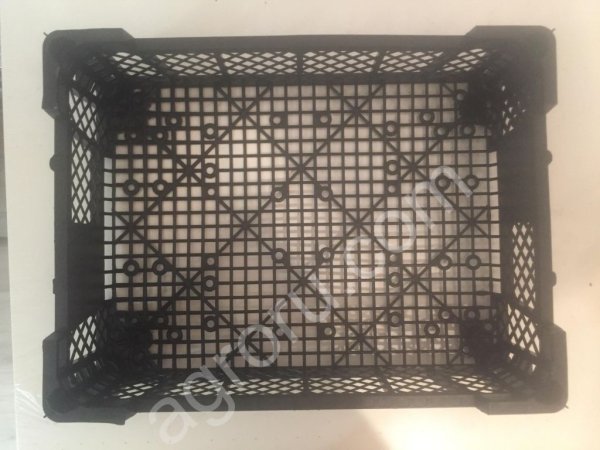 грибной ящик новый