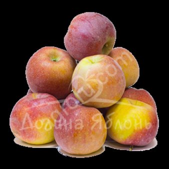 Яблоки оптом