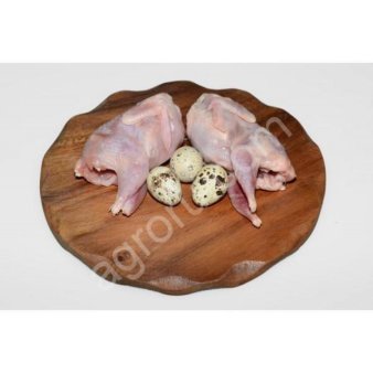 тушку и филе перепела, перепелиное яйцо