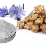 Инулин натуральный порошок топинамбура