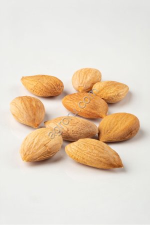 Абрикосовая косточка жареная