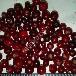 Клюква дикая замороженная (РФ, электр. очистка)